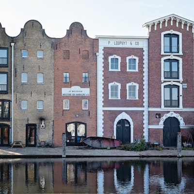 Bleek 5 woerden Bleek 5 woerden