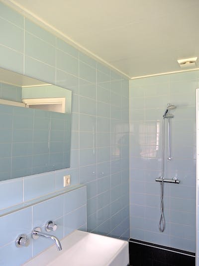 vakantiewoning / tiny house Okkenbroek