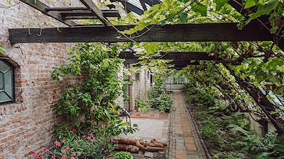 Breda