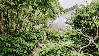 Breda