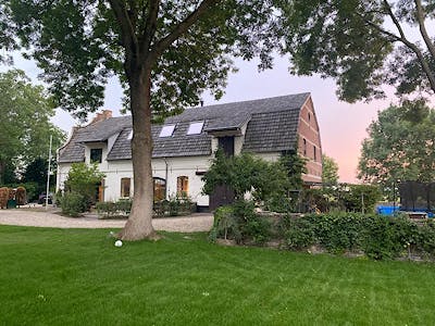 Zetten