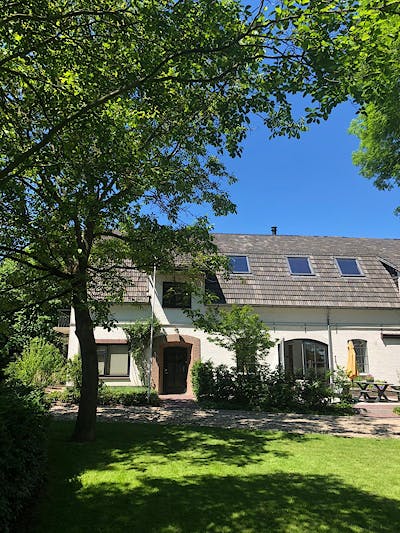 Zetten