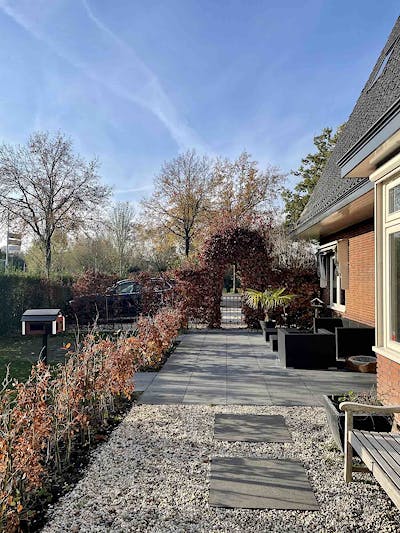 Soest