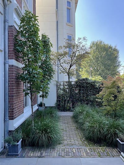 Den Haag