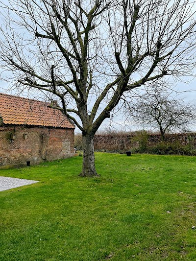Veghel